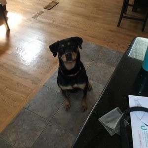 Meet your Posher, Michael